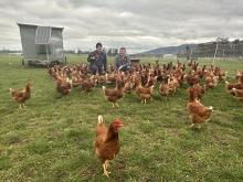 Nigel and Nick Aylott from Western Tiers Pastures at Cluan.