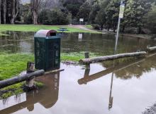 Tynwald Park over the weekend. There'll be no parking and no picnics for a while.