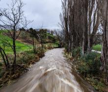 The Lachlan River roars through Tynwald Park.