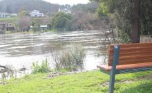 The Derwent in flood at New Norfolk.