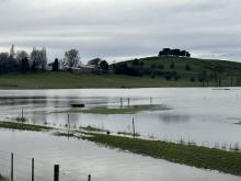 Flooding near Deloraine.