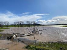 Flooding in the Northern Midlands