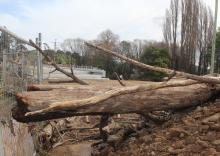 Debris including entire tree trunks  now rest at same height as new Styx bridge beyond