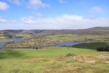 Lyndall Farm at Hamilton Tasmania