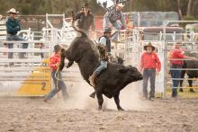 Action at the Gladstone Rodeo