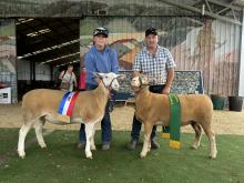  Imogen Baldock with the Champion Interbreed ewe and Paul Day with the Reserve Champion.