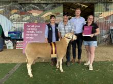  Shannon and Paul Day with the Supreme Exhibit a White Suffolk from their Sunnybansk stud and representatives from Bendigo Bank.