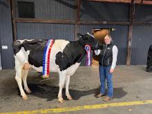 Isobel Geard with Supreme Champion Dairy Cattle winner at the Royal Hobart Show; Green Glory Sidekick Josie.