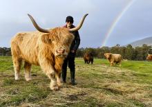 Julie, owner of Highland Getaway with her beloved Highland cows under a rainbow.