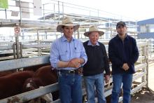 Philip, Bert and Jack Davie three generations Guilford farm in Ouse had their 50th Annual Poll Hereford Bull Sale.