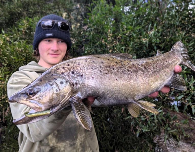 Picture: Kingborough Anglers Association's Arthur Whittock with his junior longest trout and winning fish in last weekend's STLAA Interclub Challenge held on the Huon River.