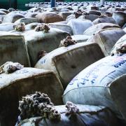 Bales of wool