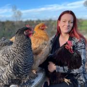 Paula Voss with her beautiful chickens