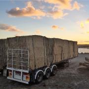 Imported hay bales at Grassy Port earlier this year