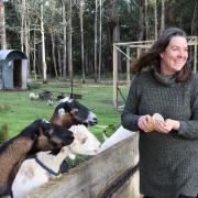 Sonia Thomasson feeding her goats