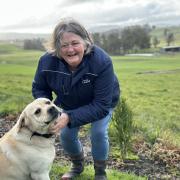 Tas Women in Agriculture chair Deb Morice with her dog, Charlie