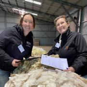 asTafe teacher and volunteer judge Evelyn Archer with Chelsea Rayner of Lower Beulah during the wool classing task.