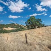 Dry field