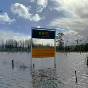 Hopfields Australia between the Derwent and the Styx today