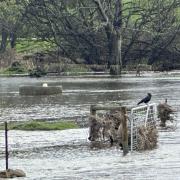 The Meander River at Deloraine