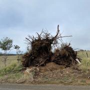 Wild weather has left a trail of destruction.