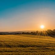 Farm photo by frederico respini