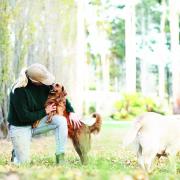 Anna Terry and her canine truffle team