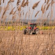 Tractor in field