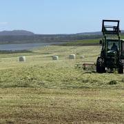 Pasture was being cut near Elizabeth Town earlier this week with farmers hoping for a good fodder season. Picture: KAROLIN MACGREGOR