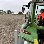 Site being sown at Pipers River in north-east Tasmania