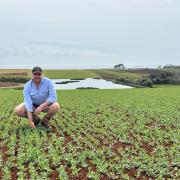 Simplot veg grower of the year Jamie Marshall