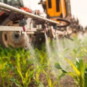 spraying field 