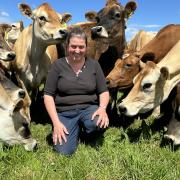 Jersey Australia board member and promotions chair Jane Sykes in the familys herd near Ringarooma