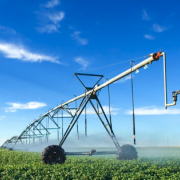 Irrigator