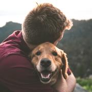 dog and owner