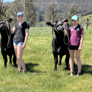 Chloe Cocker with her heifer Cydie and Hailey Cocker with her heifer Brolga.