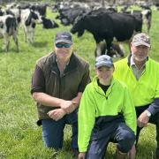 Anthony, Toby and Bruce Grey