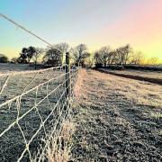 Frosty farm fence