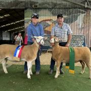 Imogen Baldock with the Champion Interbreed ewe and Paul Day with the Reserve Champion.