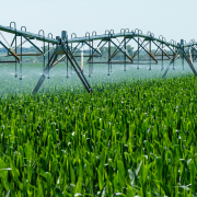 Irrigation