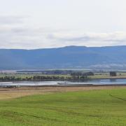 A full dam at Cressy