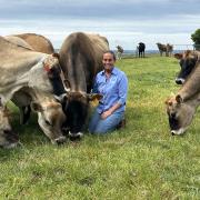 Farm consultant Penny Williams with some of her Jerseys