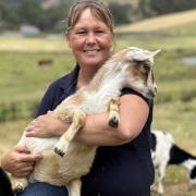 Lesley Richards with some of her Tippy Toes Dairy Goats near Quamy Brook