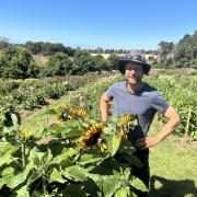 Dave Roberts-Thompson at the Table Cape Tulip Farm's new tourism venture The Patch